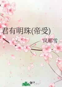 君有明珠(帝受)