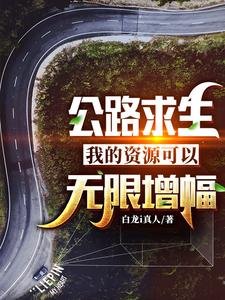 公路求生：我的資源可以無限增幅